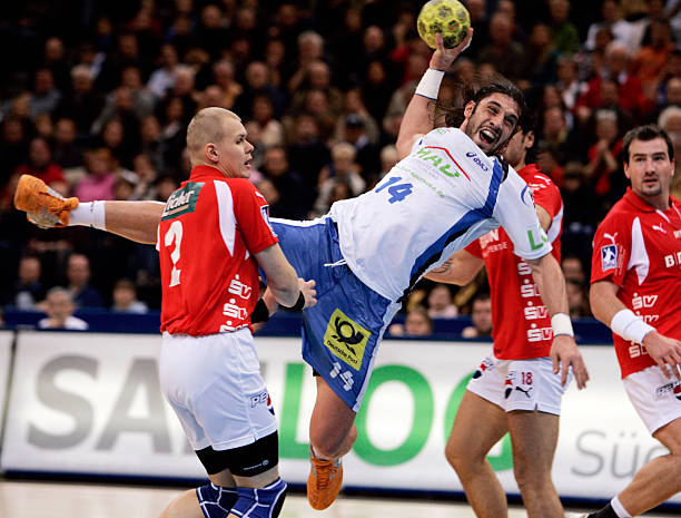 不仅是一家 不仅是一家